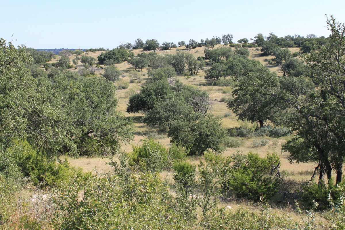 Hunting Gaming Land Sale Oak Ridge Ranch in Kimble County Texas Hill Country