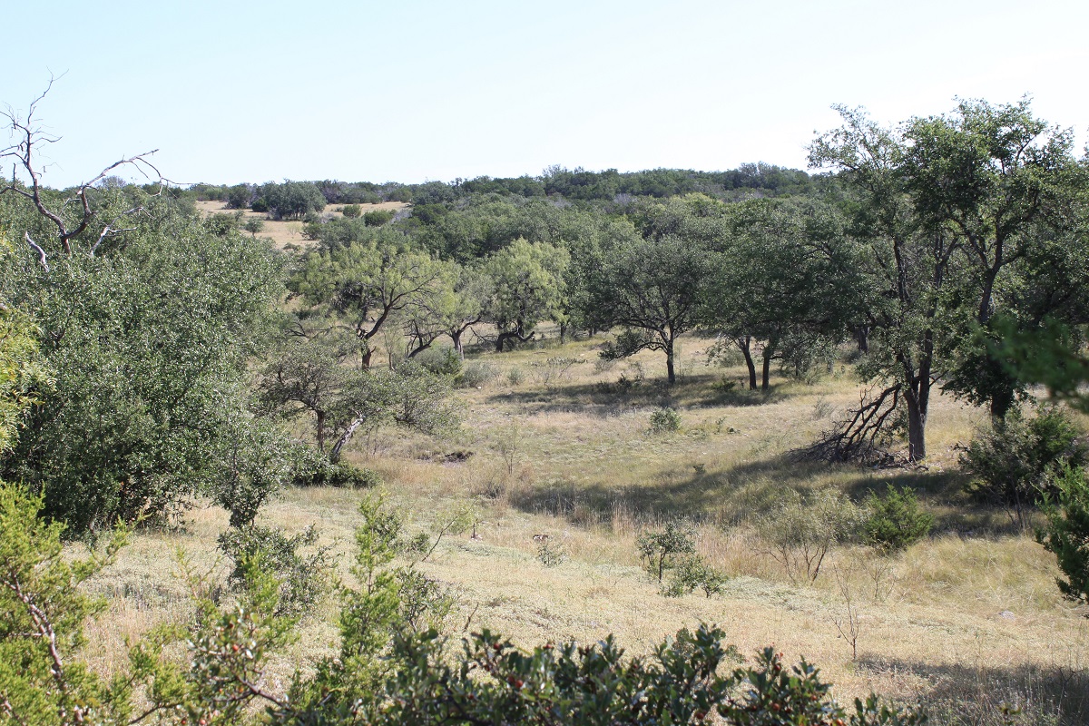 Hunting Gaming Land Sale Oak Ridge Ranch in Kimble County Texas Hill Country