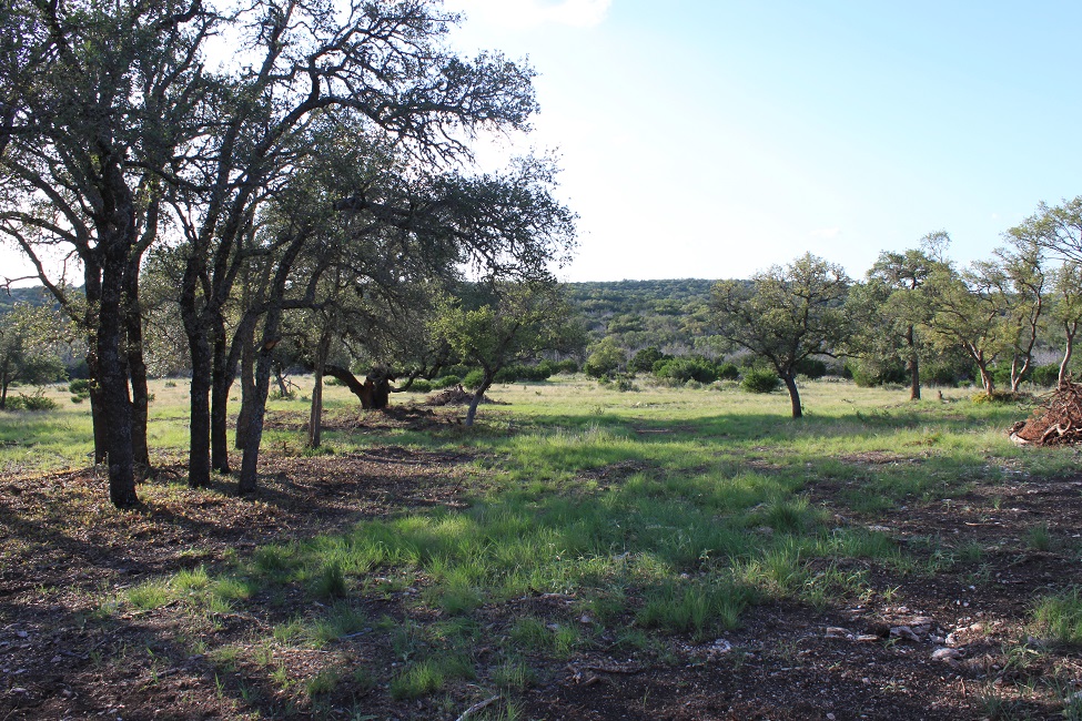 Dominion At Wagon Wheel Ranch for Sale Texas