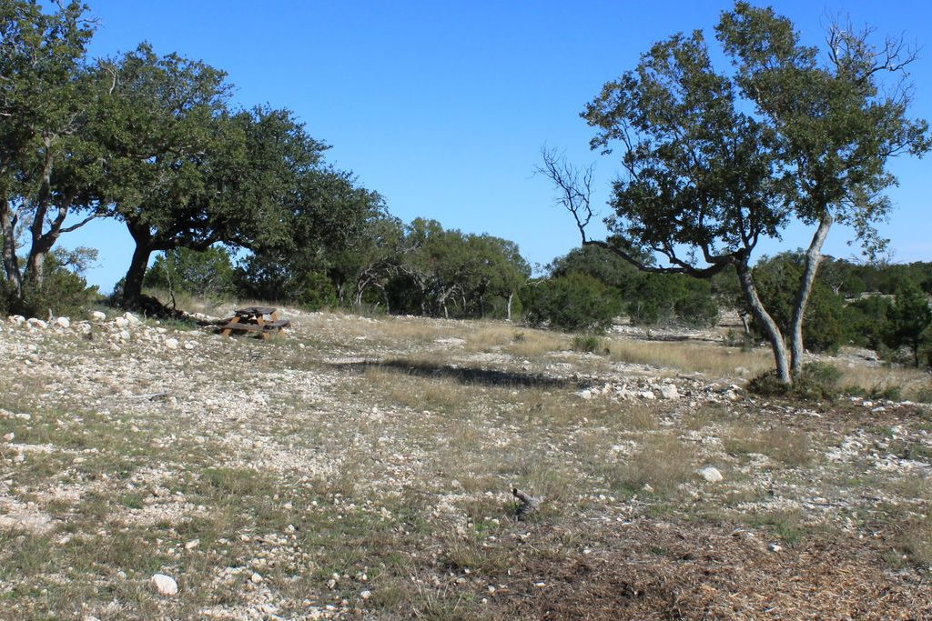 Hunting Ranch for Sale in Texas Dominion Land