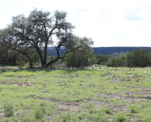 Texas Hill Country Ranch On Sale - 21103 N Highway 377, Telegraph, TX 78880 - 250.77 acres inside a 2, 860 acre highly desirable Dominion at Wagon Wheel Ranch