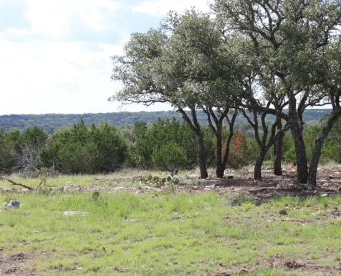Texas Hill Country Ranch On Sale - 21103 N Highway 377, Telegraph, TX 78880 - 250.77 acres inside a 2, 860 acre highly desirable Dominion at Wagon Wheel Ranch