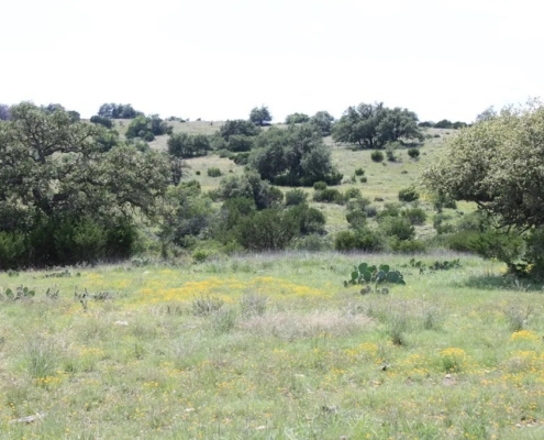 Texas Hill Country Ranch On Sale - 21103 N Highway 377, Telegraph, TX 78880 - 250.77 acres inside a 2, 860 acre highly desirable Dominion at Wagon Wheel Ranch