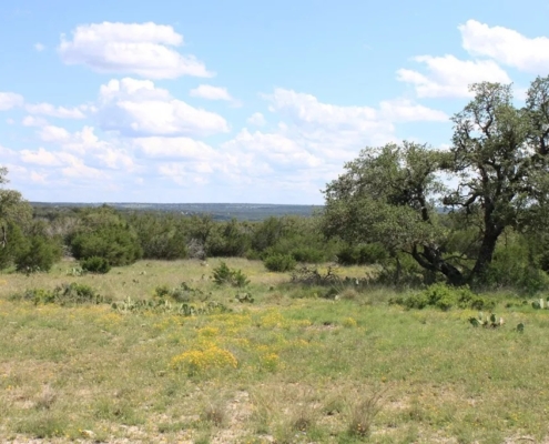Texas Hill Country Ranch On Sale - 21103 N Highway 377, Telegraph, TX 78880 - 250.77 acres inside a 2, 860 acre highly desirable Dominion at Wagon Wheel Ranch