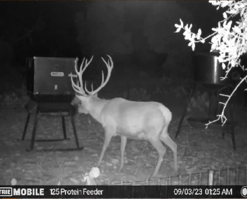 Texas Hill Country Ranch On Sale - 21103 N Highway 377, Telegraph, TX 78880 - 250.77 acres inside a 2, 860 acre highly desirable Dominion at Wagon Wheel Ranch