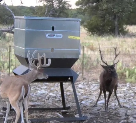 Texas Hill Country Ranch On Sale - 21103 N Highway 377, Telegraph, TX 78880 - 250.77 acres inside a 2, 860 acre highly desirable Dominion at Wagon Wheel Ranch