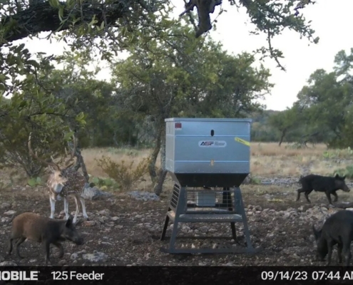 Texas Hill Country Ranch On Sale - 21103 N Highway 377, Telegraph, TX 78880 - 250.77 acres inside a 2, 860 acre highly desirable Dominion at Wagon Wheel Ranch